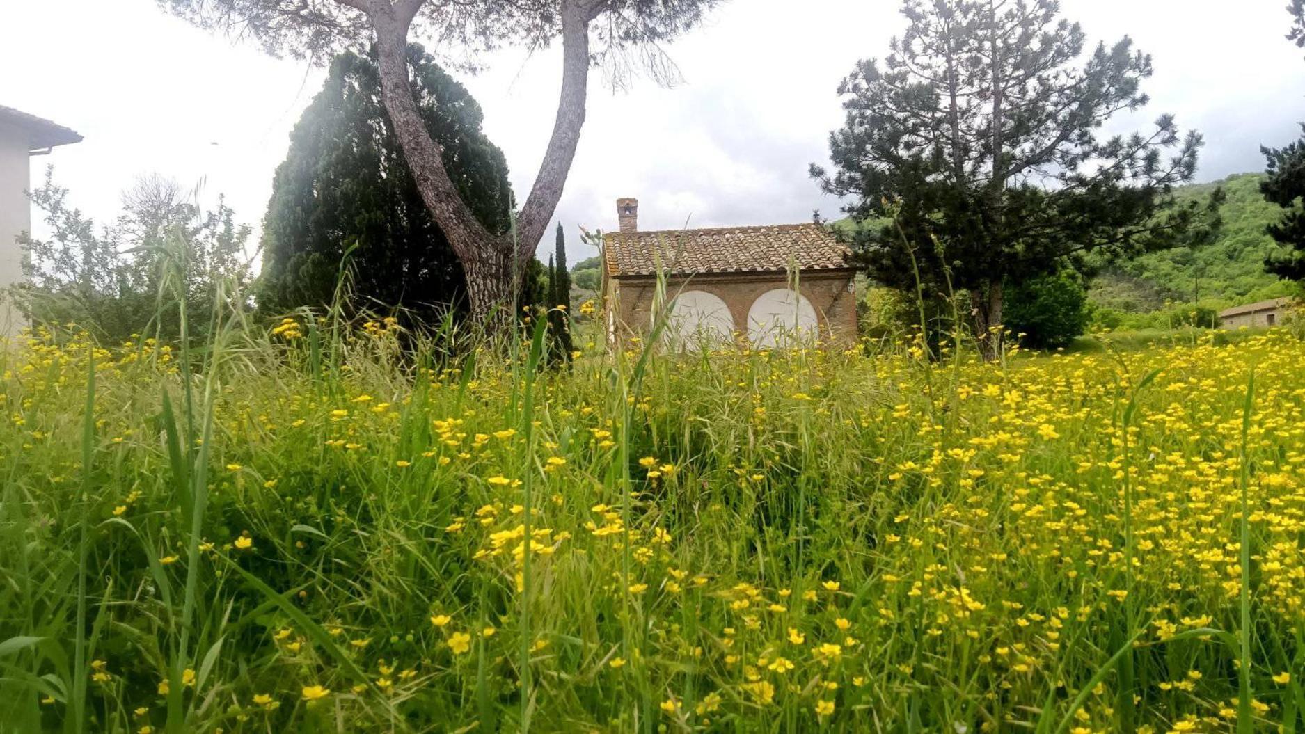 Opera D'oro