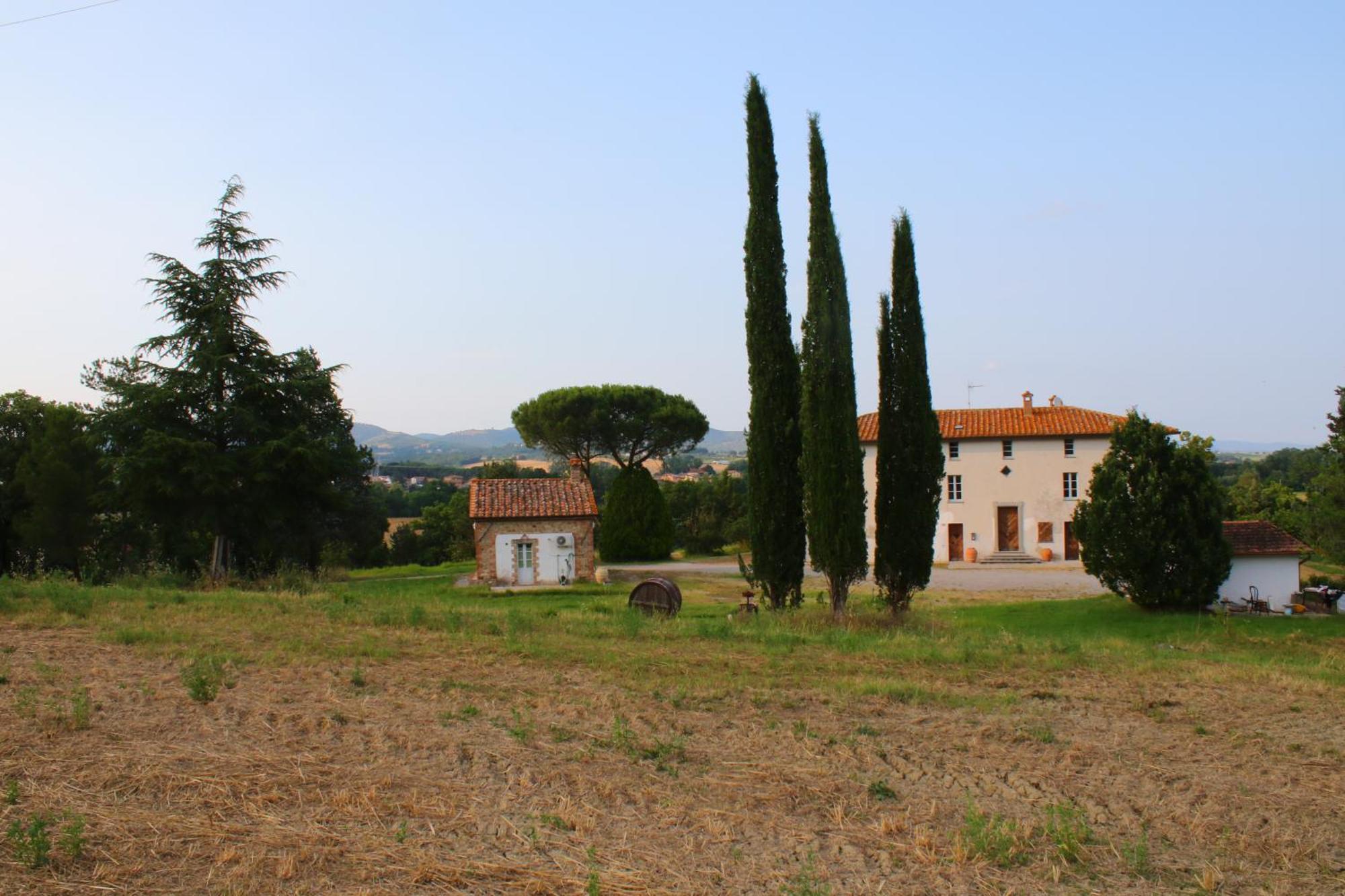Opera D'oro